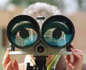 ������ ��� �����