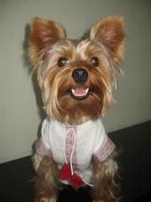 �. ������: ����� ��������� ��� ������ ������������� ���������