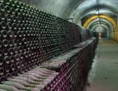 ������������� ���������� ��������� ��������� ����� ����� ���������� ���������� � ��