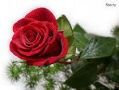 ������������ �������� ��������� ���������� � ���� �������� �� �������������� ����� ������������ ����������� "������������� �����"