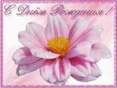 ������������� ���������� � ������ "�������� ����" � � � � � � �������� ����������� ������� ���������� �������� � ���� ��������!