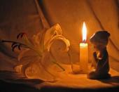 ��������������