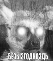 �������� ������: ����� �������� "������� �������"