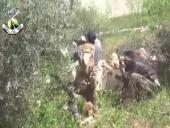 ����� � ������: ������� "���-�����" ������� ������������ � ��������-�����������