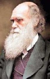 ������ ������� ������� ��������� ��� ������ � ��������