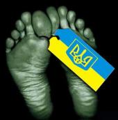 ��� ��������� ������ ���������� �������?