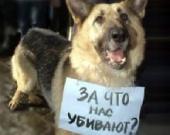 ������������� ����� ������ ������ � ������� �������� ��������� ��������