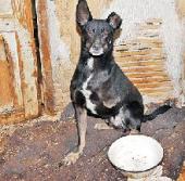 ���������� �� ����������� �����c��� � ���������