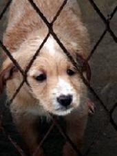 ��������� �������� ���������� ��������� ���� ���������� ����������� ����� � �����