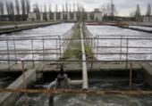 Киевсовет изучит, как проводится реконструкция муловых полей Бортницкой станции аэрации