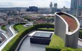 Эксперты рассказали о перспективах создания зеленых крыш в Москве