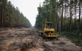 Сколько стоит российский лес?