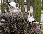 ����� � ��������� �������� ���� ������ �� �����