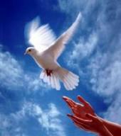 ������������ ������� �������� ������������