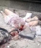 ��������� ��������: ��������� ����������: ��������� ���