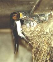 � �������� ��������� ������ ��������