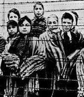 ��������� ��������: �������������� ������ - ������������ ���� �������