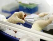 � �������� ���������� �������� �� ����������� "������� ������"