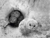 ����? ����!