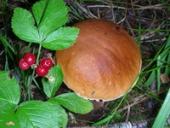 ������ � ���� ����� �����