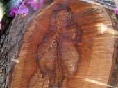 ����� ����