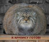 � ������ �� ���� ��������� ��� �������������� ��������