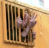 ������ �������� ������