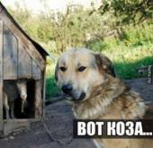 ������ �����: ����� "�� ���������", ��� � � ��� ����� �� ������ ����� �������...