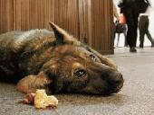 ����� ��������� ��������� ��������� ����