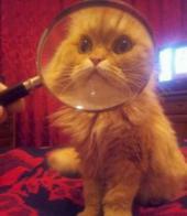 �������� ������: ������� ������ � �������: �� "������" � "���������"...