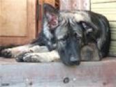 �� �������� ��������� � ��������� � ������� ���������