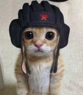 �������� ������: ��� ��� �����������: "����� ������"