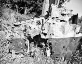 ������������ ���: Boeing �� ������� ��� ����� ��-25