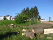 ��� ���������� ������� ����������� ��������� �� ������������