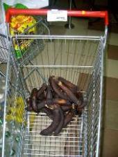 � ������ �������� ����������� ������ (����)