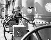 ������� �� �������: ���� �� �������� ������� �� ������� �������������� �� ������