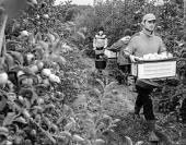 ������ ��������� ��� ������ "�����������" ������