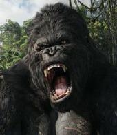 ��������� ��������: �������� ���������� � �������� � ��������� ���������������