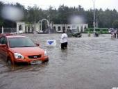 ����� �����������: ��������, ������������, ������� ������� (����)����� ���������� � ��������