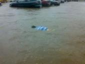 ������ ����������