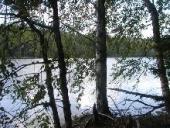 �������� ������������ ��������� ��������� �� ������� ���