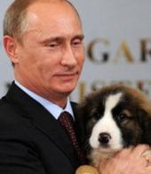 ��������� ��������: ������������ �������� ��������� ������