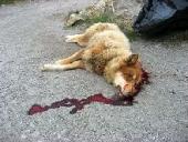 � ������ �� �������� ������ ����� ������������ �����