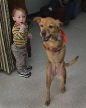 �������� ������ ����� ��� ���������������-������� �������� ����� ������� ���� � ����