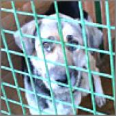 ������ ���������� � ����������� �� ������ � ��������