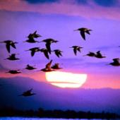 �� �������� ������ ������� �� �� ������ ���������� �����