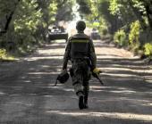 ���� �������: �� ������ ������ ���� ��������������, � �� �������