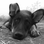 �������������� ����� �������� ���������� ������ � ������ ��������