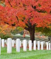 ��������� ��������: ����: �������� ��������� ��