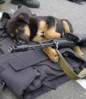 �������� ������: ���������� �������: ���� � ��������?